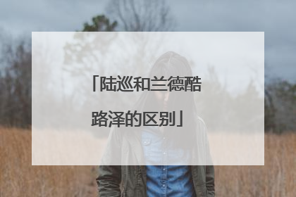 陆巡和兰德酷路泽的区别