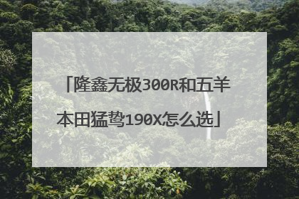 隆鑫无极300R和五羊本田猛鸷190X怎么选