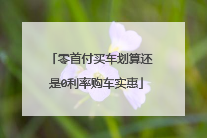 零首付买车划算还是0利率购车实惠