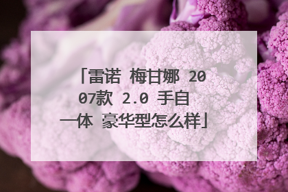 雷诺 梅甘娜 2007款 2.0 手自一体 豪华型怎么样