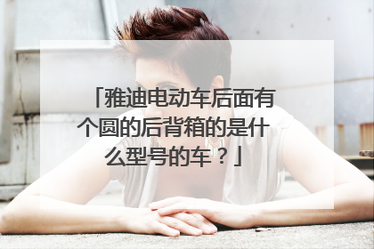 雅迪电动车后面有个圆的后背箱的是什么型号的车？