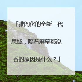 雅阁化的全新一代思域，隔着屏幕都说香的原因是什么？