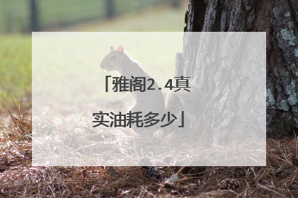 雅阁2.4真实油耗多少