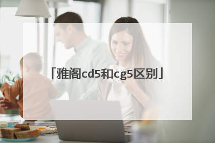 雅阁cd5和cg5区别