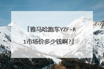雅马哈跑车YZF-R1市场价多少钱啊?