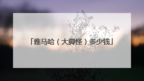 雅马哈（大脚怪）多少钱