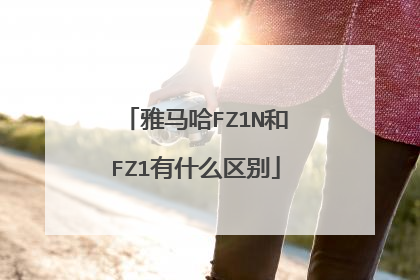 雅马哈FZ1N和FZ1有什么区别