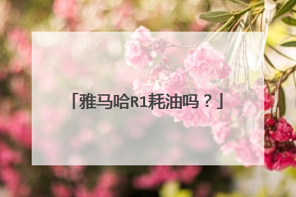 雅马哈R1耗油吗？