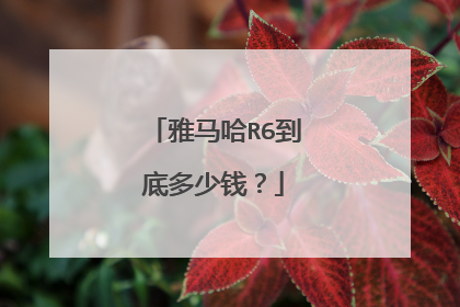 雅马哈R6到底多少钱？