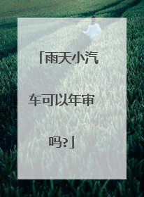 雨天小汽车可以年审吗?
