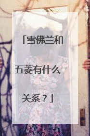 雪佛兰和五菱有什么关系？