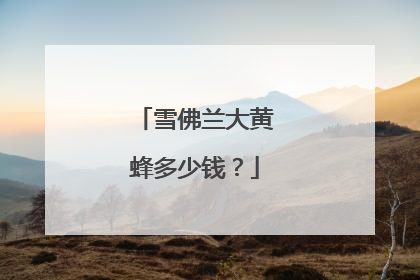 雪佛兰大黄蜂多少钱？