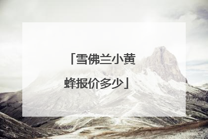 雪佛兰小黄蜂报价多少
