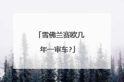 雪佛兰赛欧几年一审车?