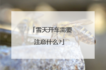 雪天开车需要注意什么?
