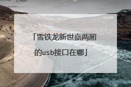 雪铁龙新世嘉两厢的usb接口在哪
