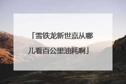 雪铁龙新世嘉从哪儿看百公里油耗啊