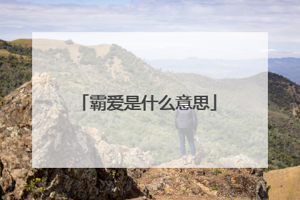 霸爱是什么意思