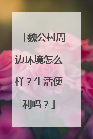 魏公村周边环境怎么样？生活便利吗？