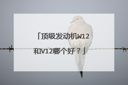 顶级发动机W12和V12哪个好？