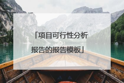 项目可行性分析报告的报告模板