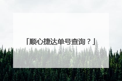 顺心捷达单号查询？