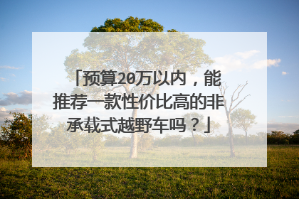 预算20万以内，能推荐一款性价比高的非承载式越野车吗？
