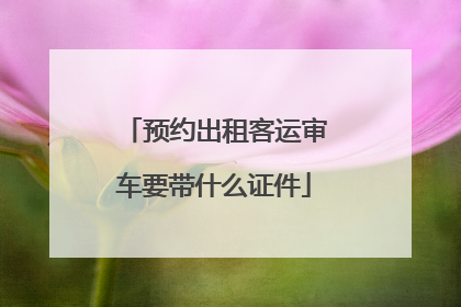 预约出租客运审车要带什么证件