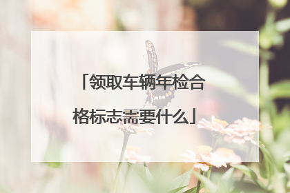 领取车辆年检合格标志需要什么