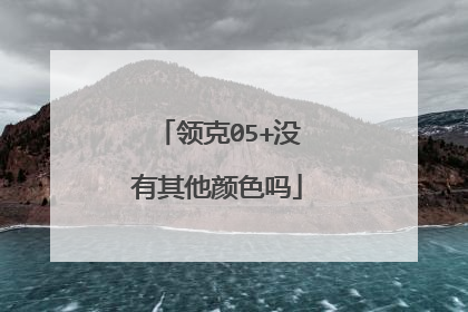领克05+没有其他颜色吗