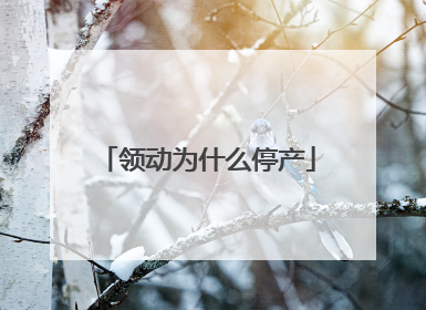 领动为什么停产