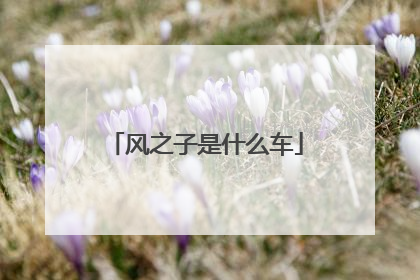 风之子是什么车