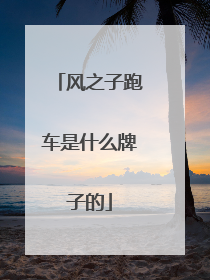风之子跑车是什么牌子的