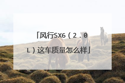 风行SX6（2．0L）这车质量怎么样