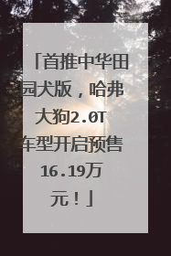 首推中华田园犬版，哈弗大狗2.0T车型开启预售16.19万元！