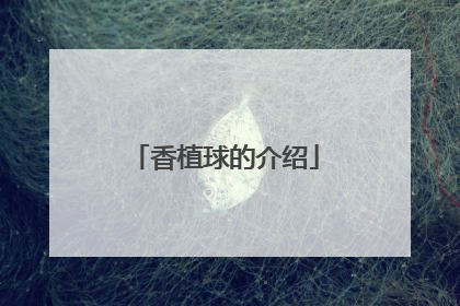 香植球的介绍