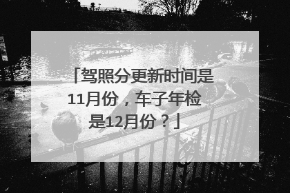 驾照分更新时间是11月份，车子年检是12月份？