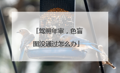 驾照年审，色盲图没通过怎么办