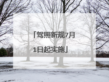 驾照新规7月1日起实施