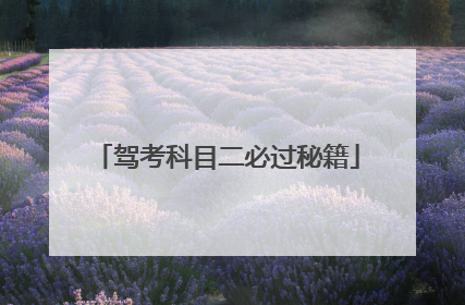 驾考科目二必过秘籍