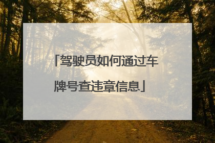 驾驶员如何通过车牌号查违章信息