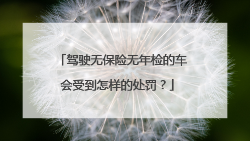驾驶无保险无年检的车会受到怎样的处罚？