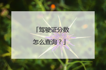 驾驶证分数怎么查询？