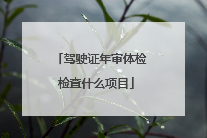 驾驶证年审体检检查什么项目