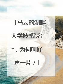 马云的湖畔大学被“除名”，为何叫好声一片？