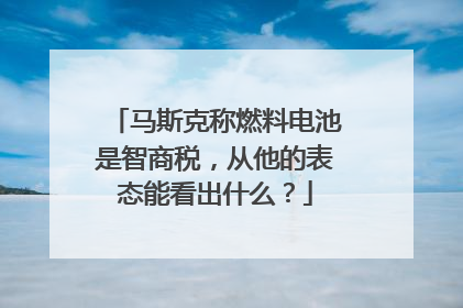 马斯克称燃料电池是智商税，从他的表态能看出什么？