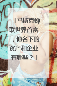 马斯克蝉联世界首富，他名下的资产和企业有哪些？