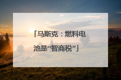 马斯克：燃料电池是“智商税”