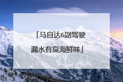 马自达6副驾驶漏水有臭海鲜味