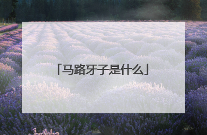 马路牙子是什么